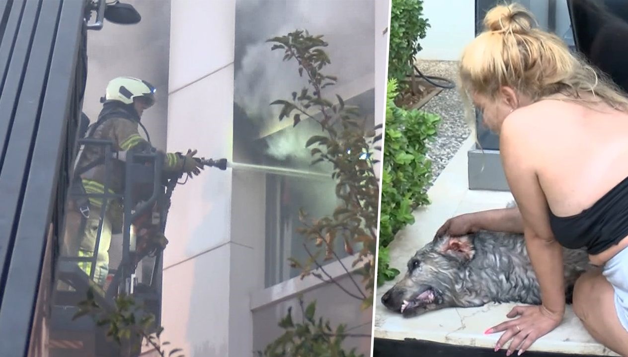 ares kurtarilamadi gozyaslarina boguldu LBMkgKJT