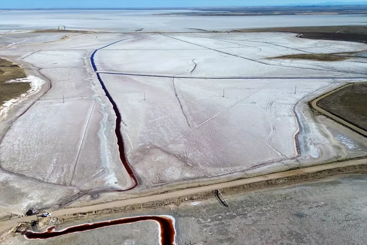 kuruyan goller yaban hayatini tehdit ediyor wdNzvhdx