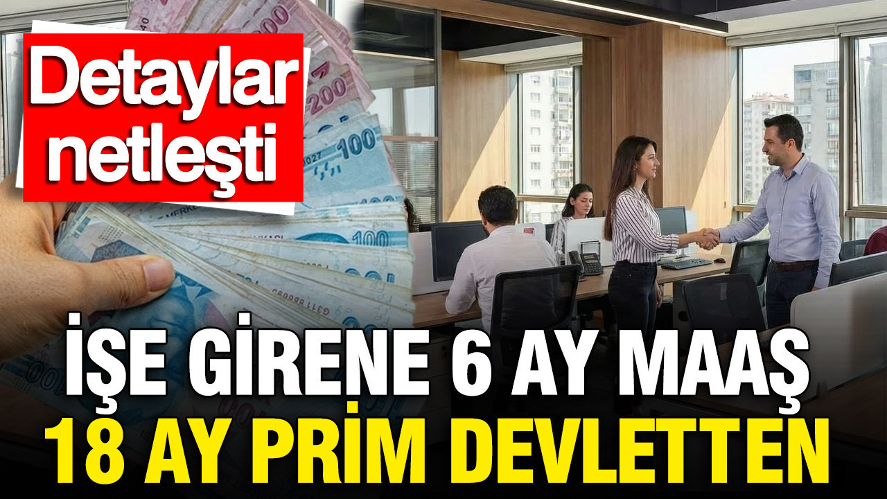 genc-istihdam-hamlesinin-detaylari-netlesti-ise-girene-6-ay-maas-18-ay-prim-devletten-NsGaMbJI-1
