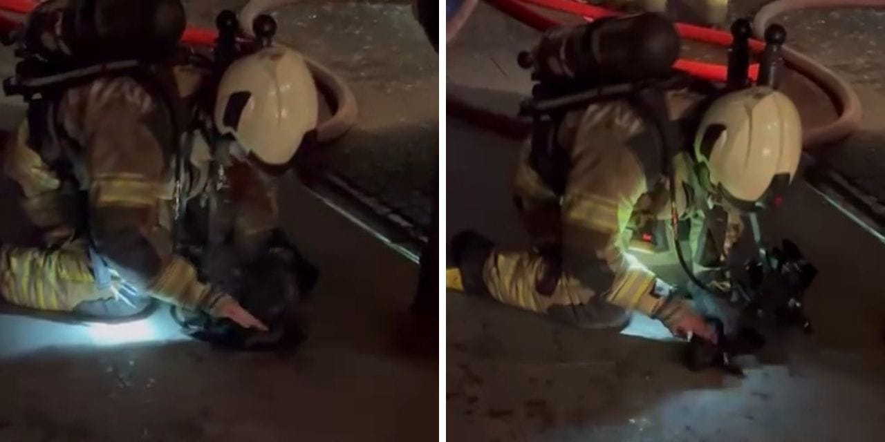 Fethiye Belediye Başkanı Karaca’ya Yapılan Silahlı Saldırı Sonrası 6 Kişi Tutuklandı