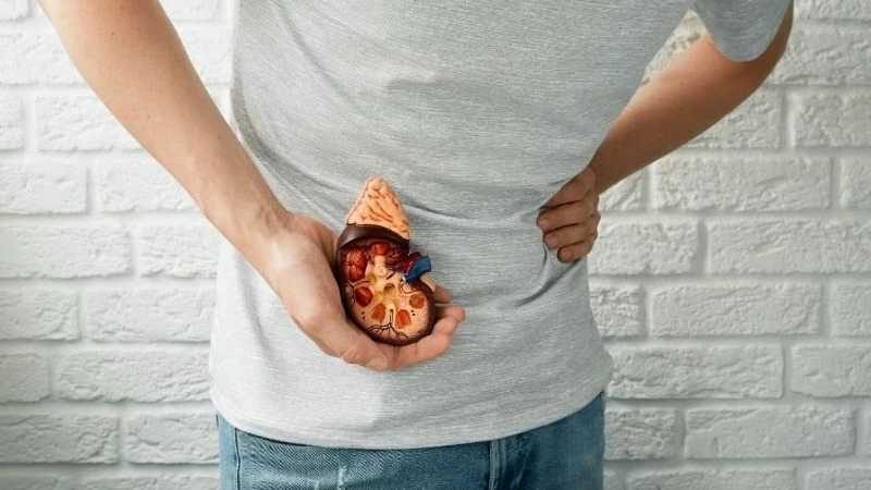 Su Tüketiminin Azlığı Böbrek Taşı Oluşumunu Artırıyor